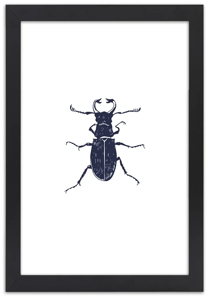 Gario Plagát Čierny chrobák Farba rámu: Bez rámu, Rozmery: 30 x 45 cm