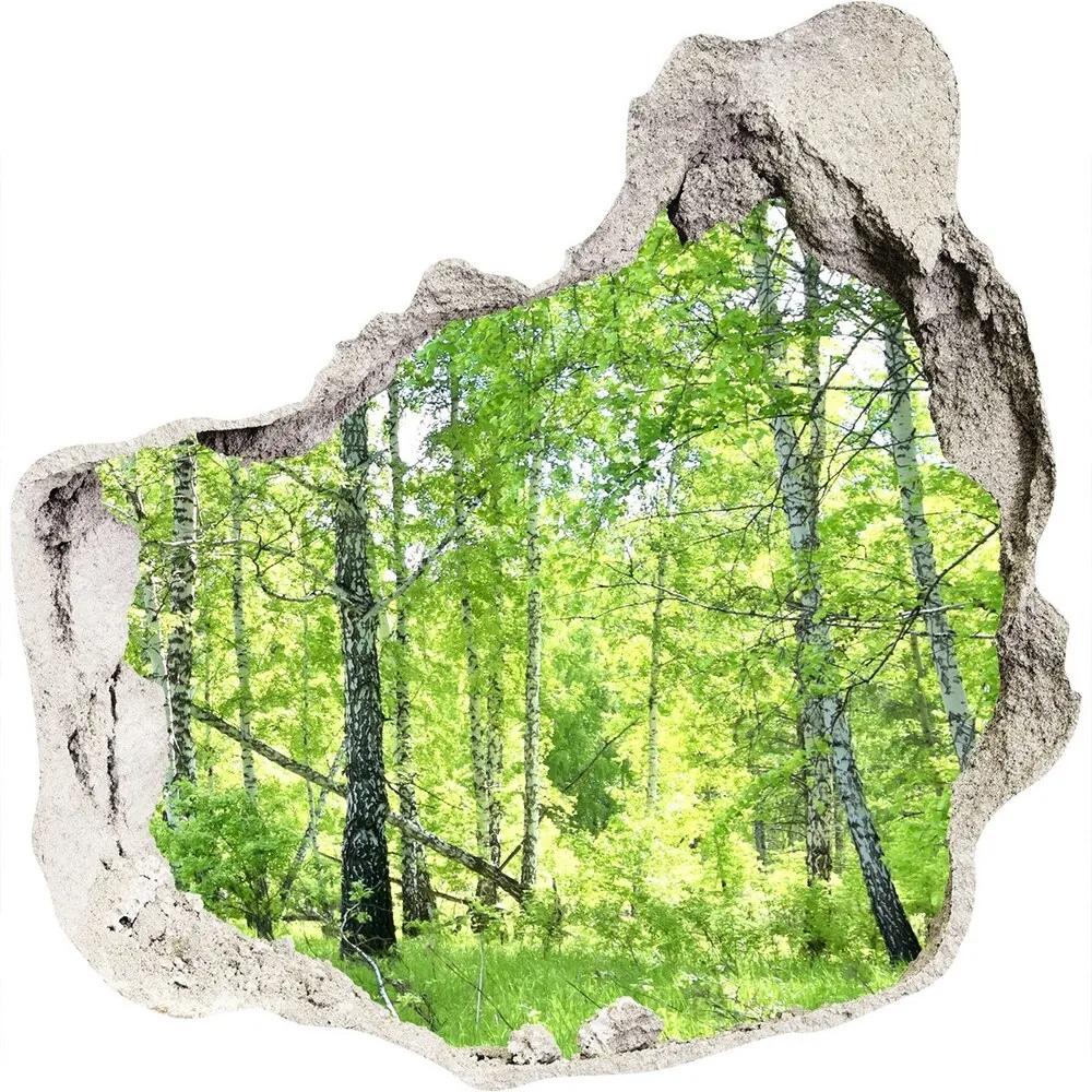 Nálepka fototapeta 3D výhľad Brezového lesa nd-p-84161730