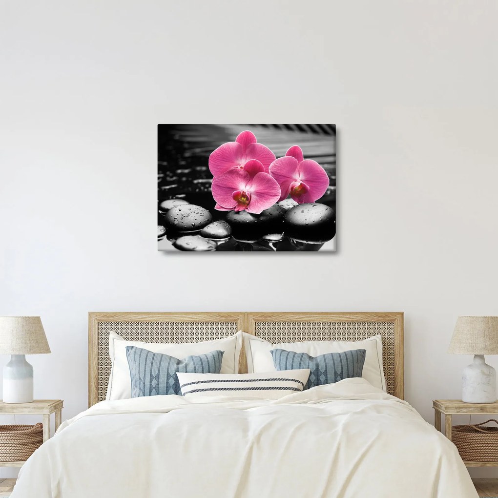 Obraz - Ružové orchidey (70x50 cm)
