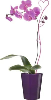 Váza Merina Candy fial. lesk. 15 cm