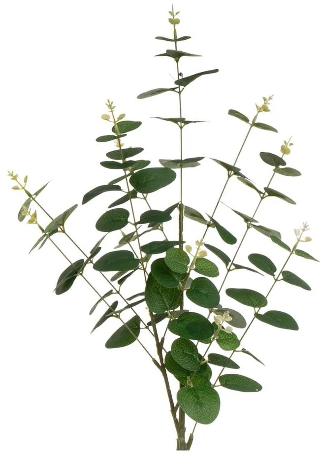 Umelý eukalyptus 4 ks (výška 85 cm) – Casa Selección