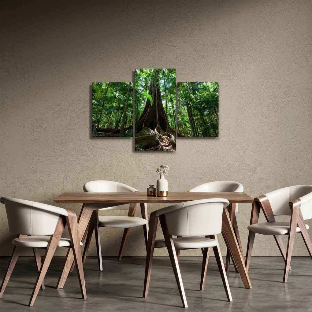 Obraz - Korene stromu (90x60 cm)