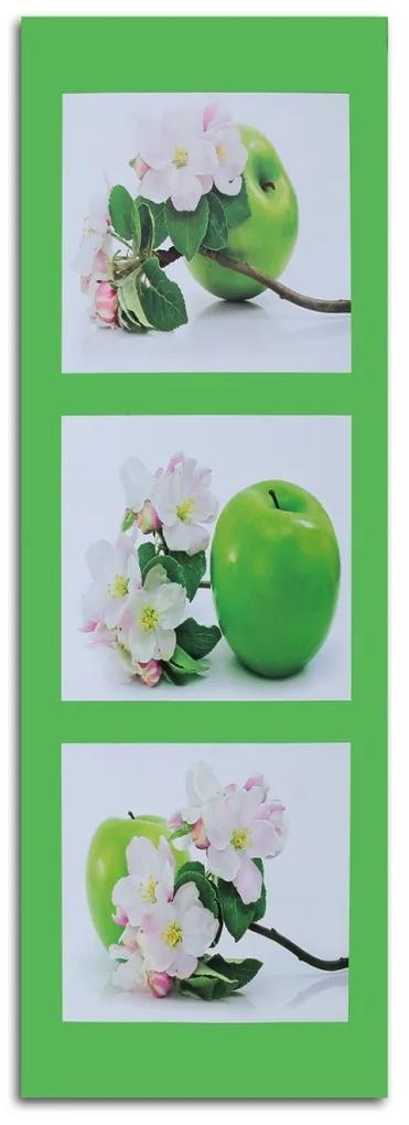Obraz na plátně Jablko plod Zelený květ - 30x90 cm