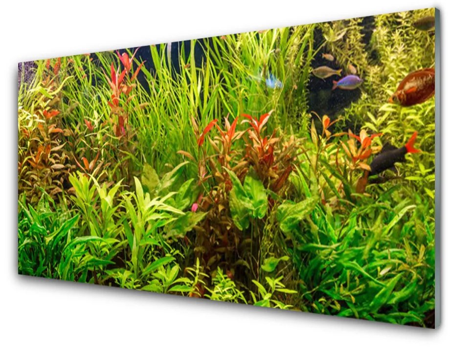 Skleneny obraz Akvárium rybičky rastliny 140x70 cm