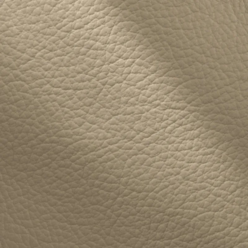 Kožené kreslo ROSSO II, cappuccino (cappuccino 313)