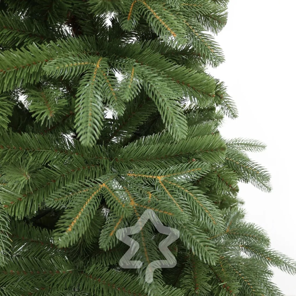 Jedľa Prírodná 210 cm