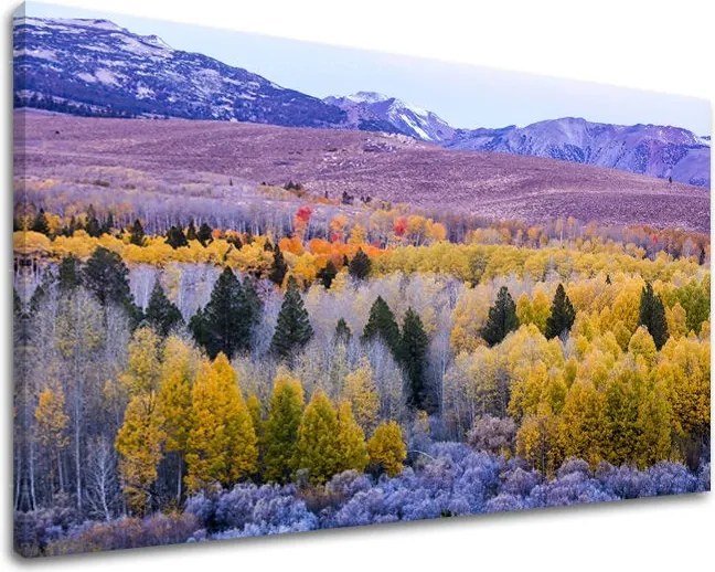 Obraz na stenu KRAJINA KR016E11