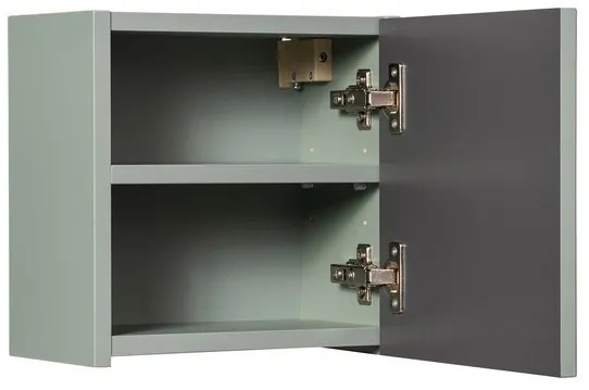 Horná kúpeľňová skrinka Line Reed Green D 83-30-1DQ zelená