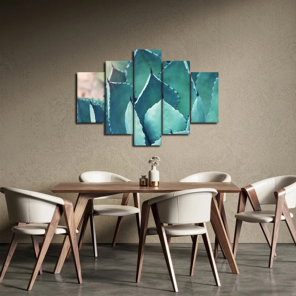 Obraz - Sukulent (150x105 cm)