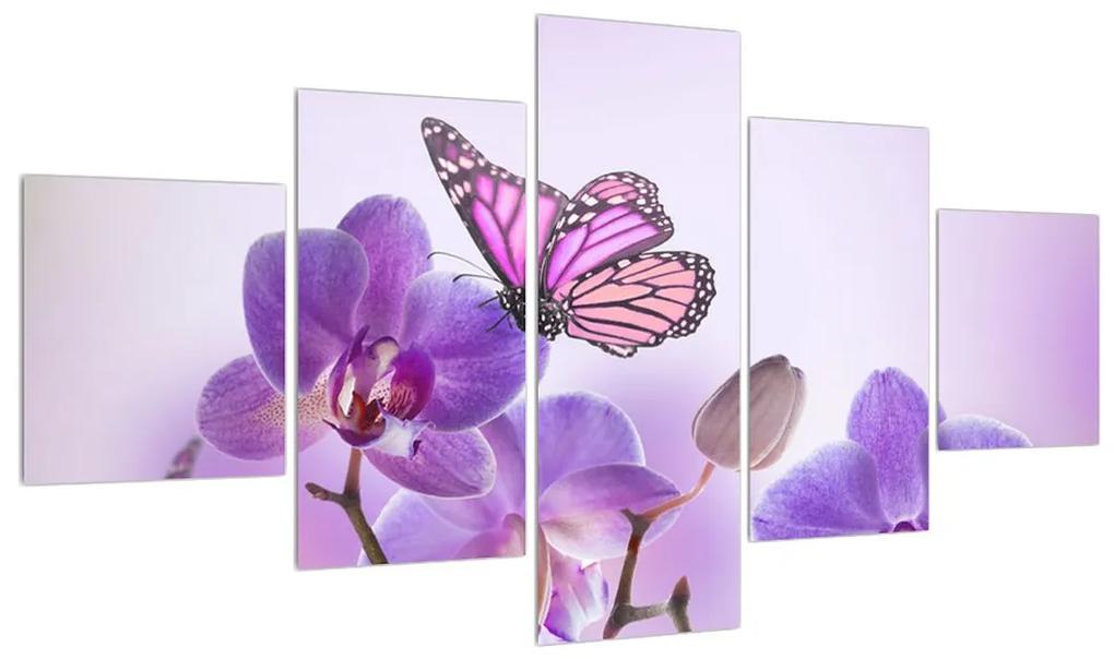 Obraz motýľa na kvetoch orchidee (K012044K12570)