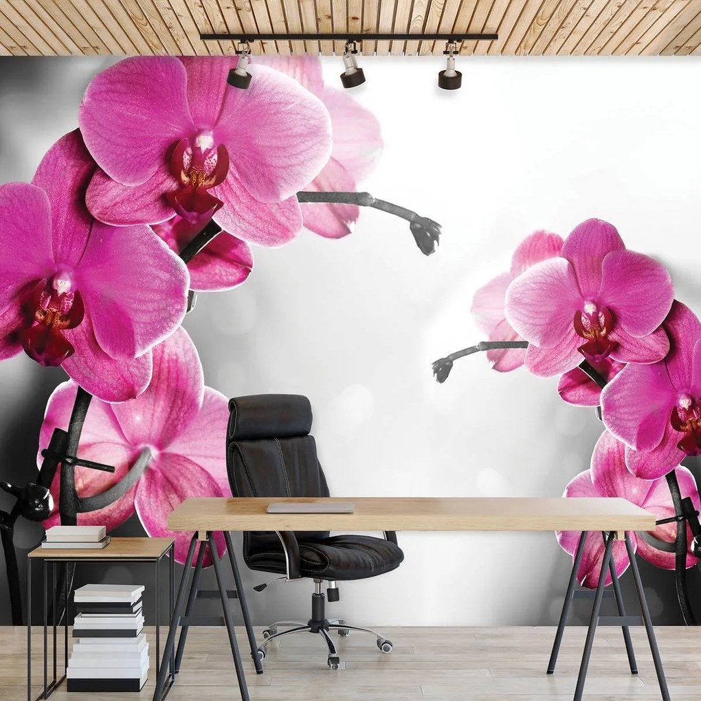 Fototapeta - Orchidey (254x184 cm)