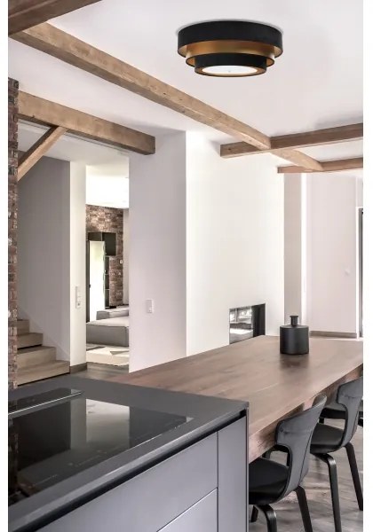 Stropné svietidlo TRINITI 2xE27/60W/230V čierna/zlatá