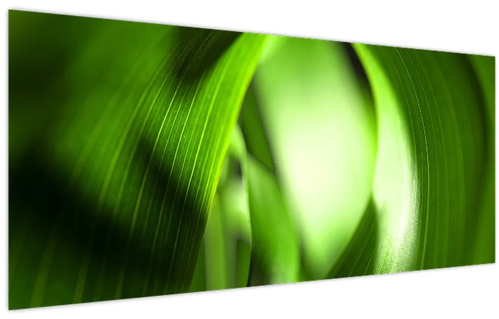 Obraz - Steblo trávy (120x50 cm)