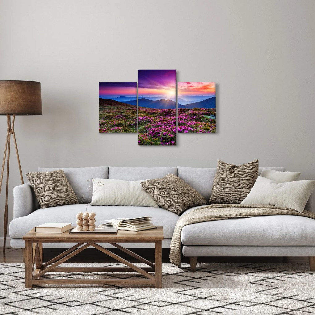 Obraz - Horská rozkvitnutá krajina (90x60 cm)