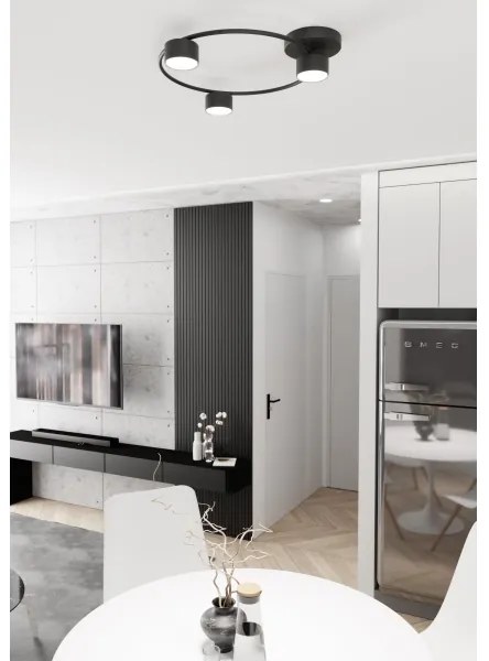 Stropné svietidlo LUCIO 3xGX53/12W/230V čierna