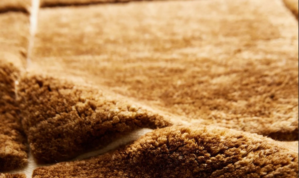 Diamond Carpets India, Ručne viazaný kusový koberec Radiant DE 2269 Multi Colour, 120x170, hnedá, obývacia izba