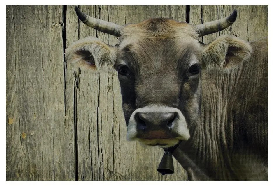 Rohožka s motívom švajčiarskej kravy - 75 * 50 * 1cm