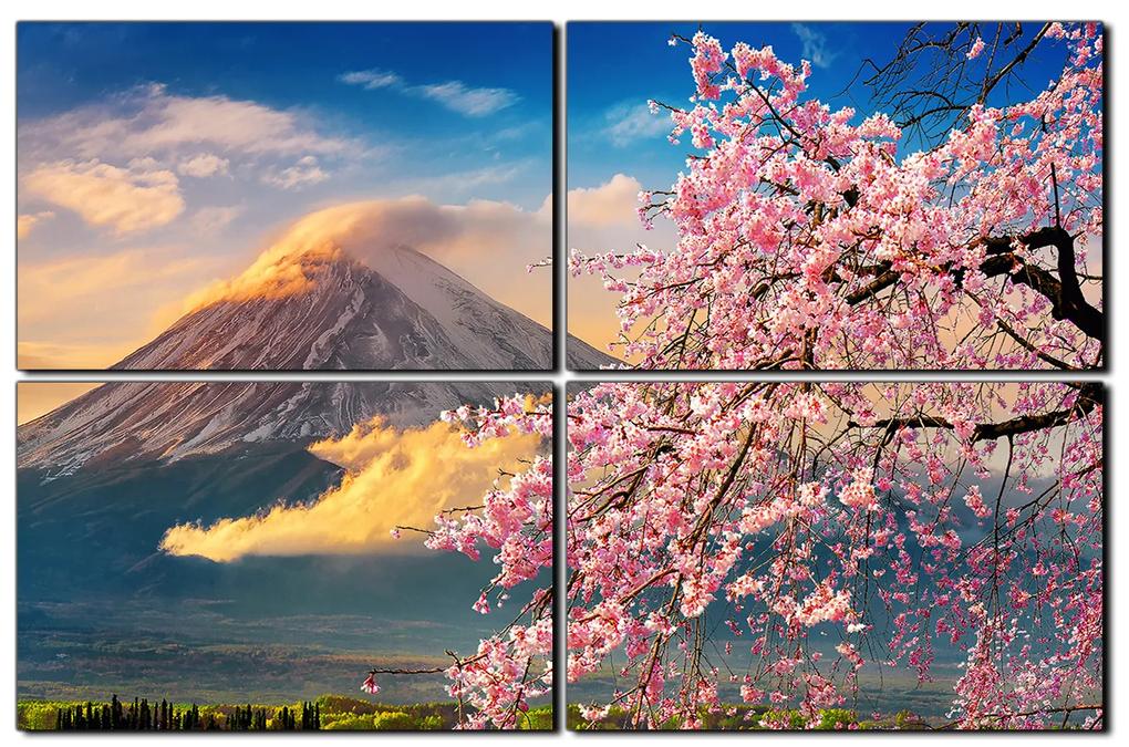 Obraz na plátne - Hora Fuji a čerešňové kvety na jar 1266E (120x80 cm)