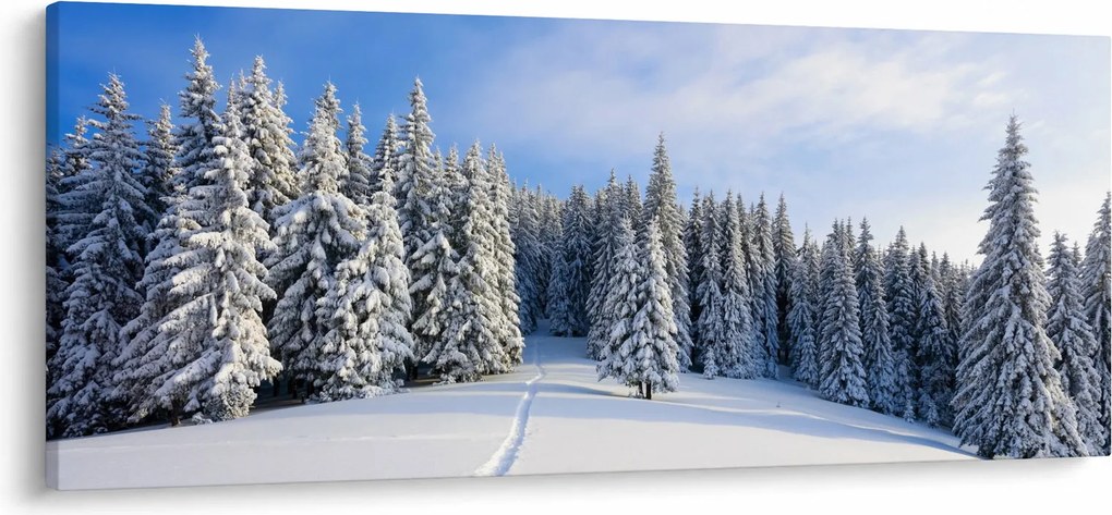 Obraz - Zima v lesoch (120x50 cm)
