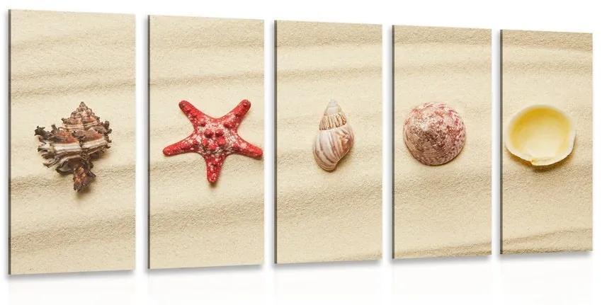 5-dielny obraz mušle na piesočnatej pláži - 200x100