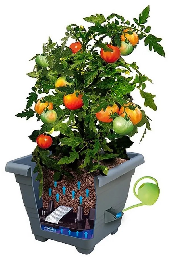 Samozavlažovací kvetináč BERGAMOT, terakota, Plastia