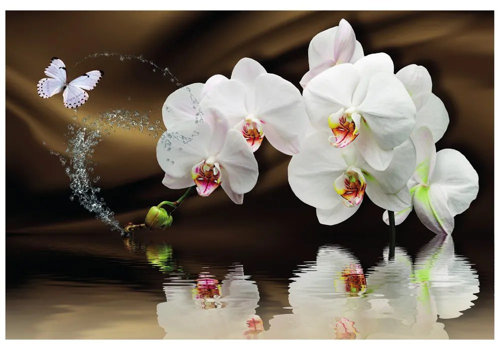 Samolepiaca tapeta orchidea a motýľ