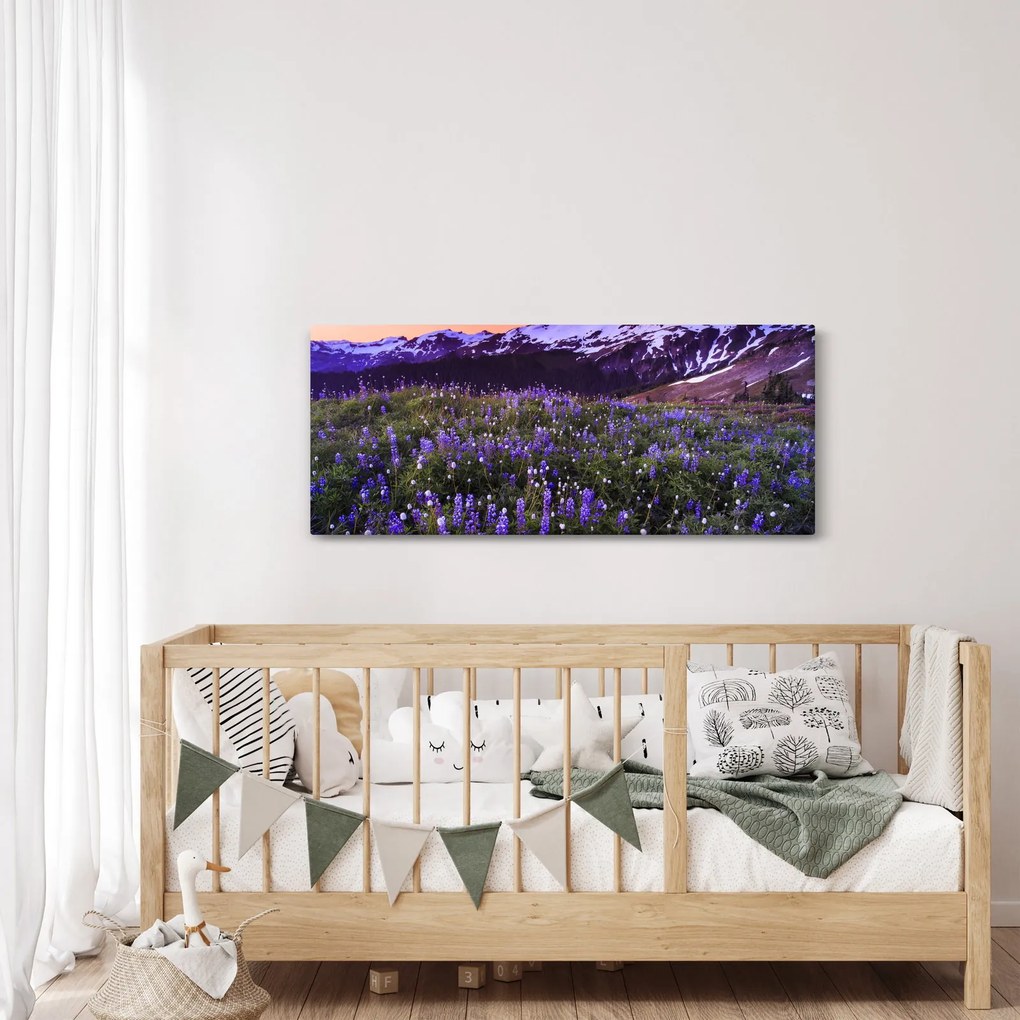 Obraz - Sopka a kvety (120x50 cm)
