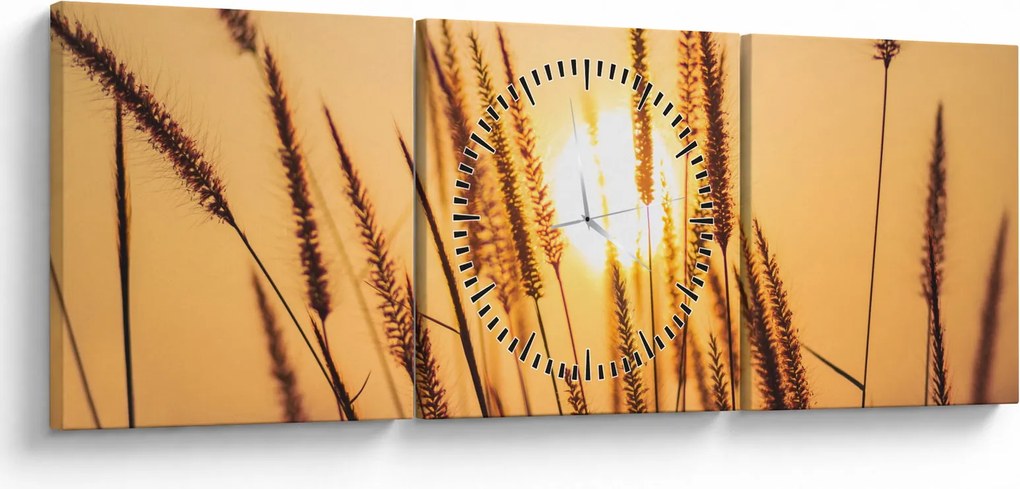 Obraz - Traviny na slnku (s hodinami) (90x30 cm)