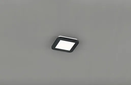 LED stropné osvetlenie Reality Camillus čierna RE R62931032