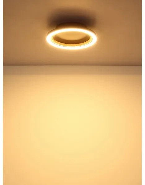 Globo 67356D - LED Stropné svietidlo DAKARI I LED/12W/230V 3000K pr. 20,5 cm
