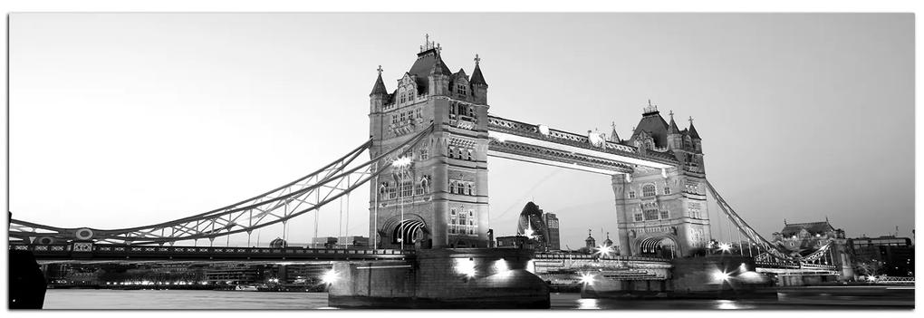 Obraz na plátne - Tower Bridge - panoráma 530ČA (105x35 cm)