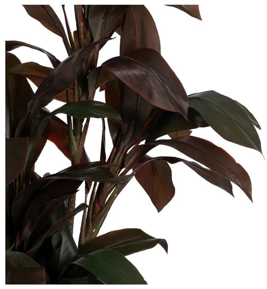 Umelá rastlina (výška 170 cm) – Ixia