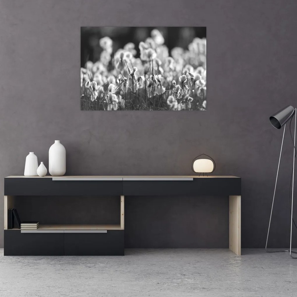 Obraz - Letná lúka (90x60 cm)