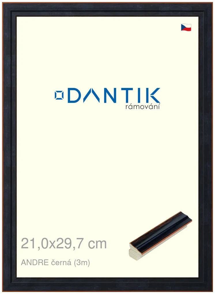 DANTIK rám na obraz 21x29,7 | ANDRE černá (Sklo Čiré)