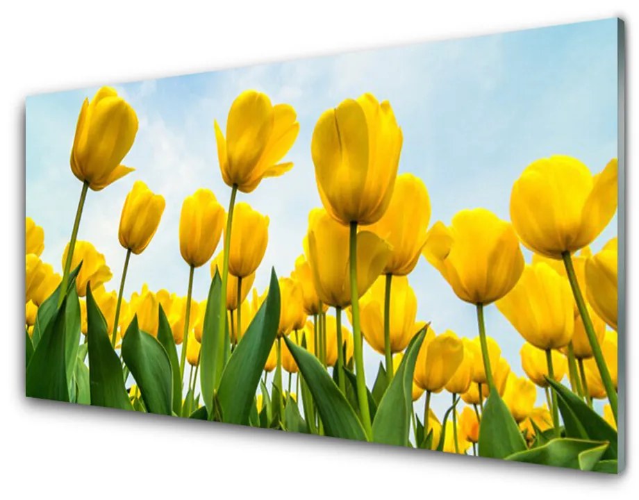 Obraz plexi Tulipány kvety rastlina 100x50 cm 2 Prívesky