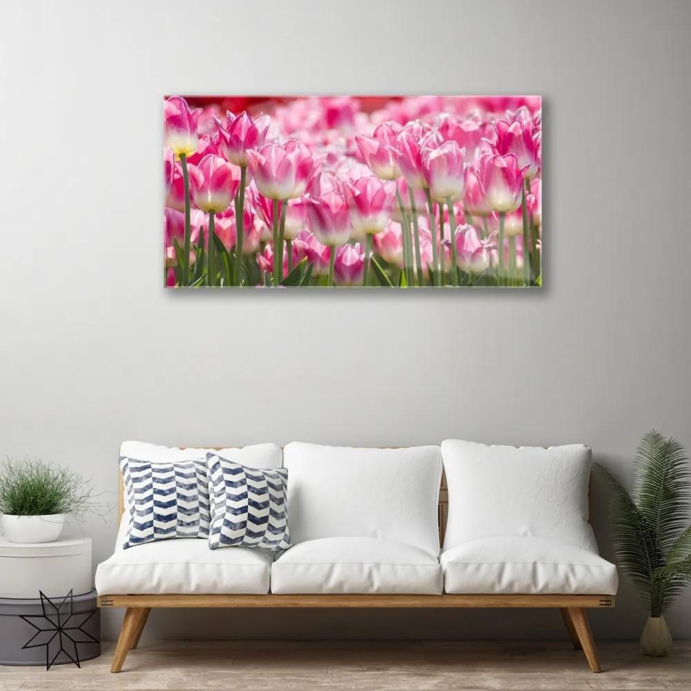Obraz plexi Tulipány kvety príroda 100x50 cm