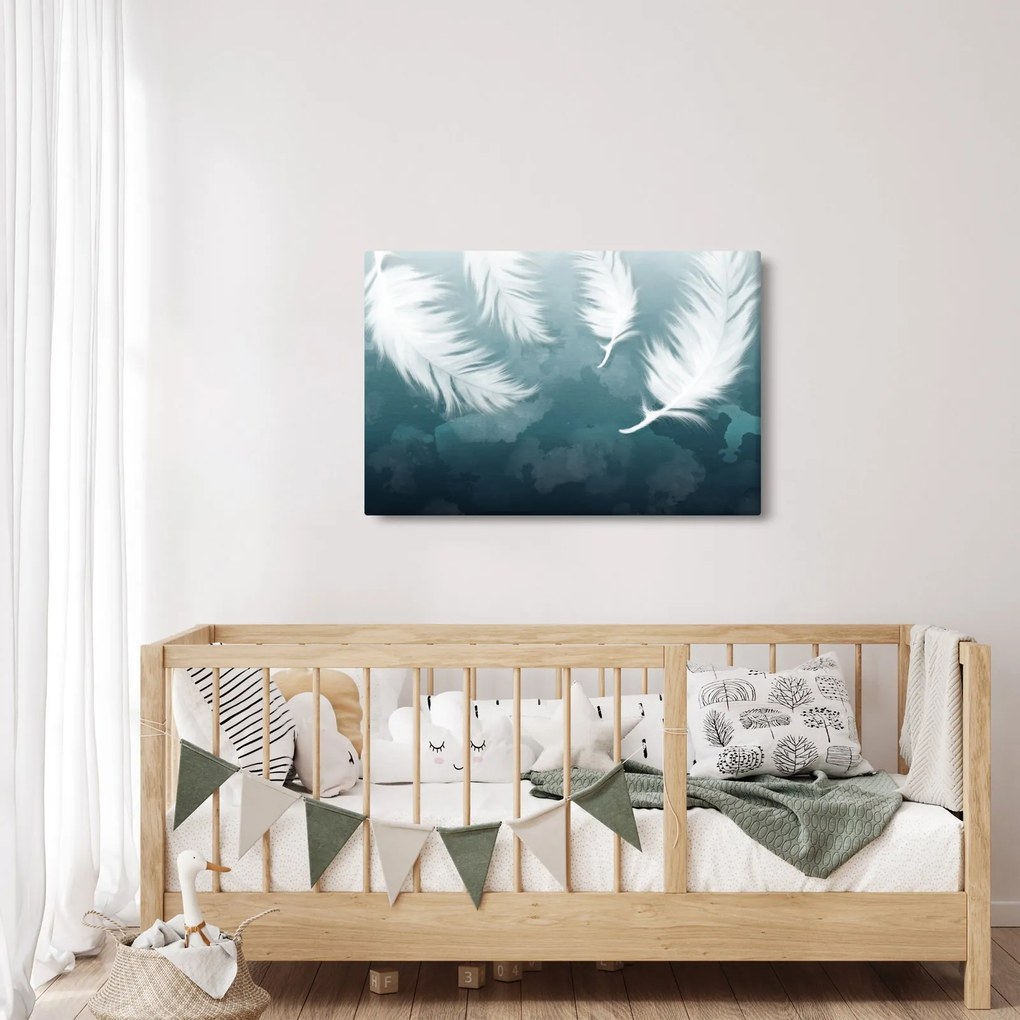 Obraz - Biela pierka (90x60 cm)