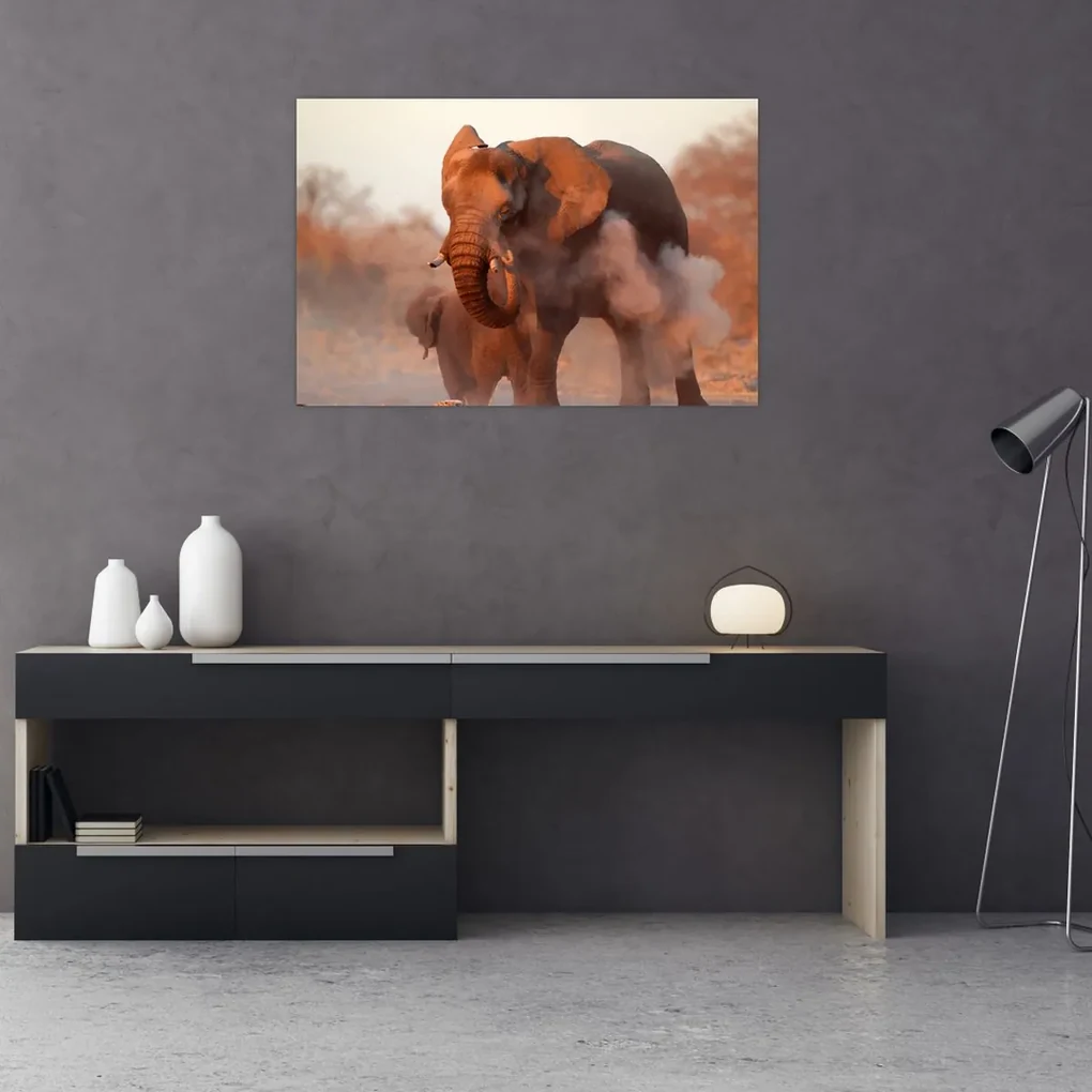 Obraz - Veľký slon africký (90x60 cm)