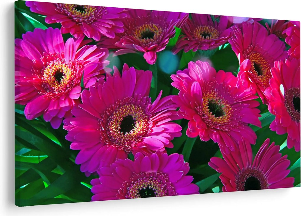 Obraz - kvety (90x60 cm)