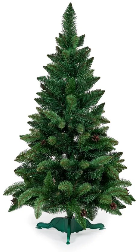 Borovica so šiškami- 100 cm