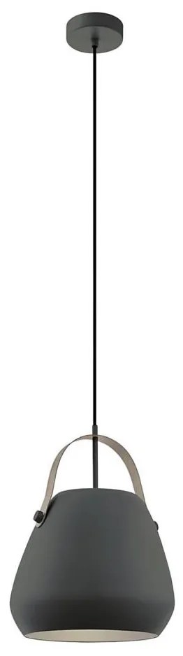 Eglo 98349 - Závesný luster BEDNALL na lanku 1xE27/60W/230V