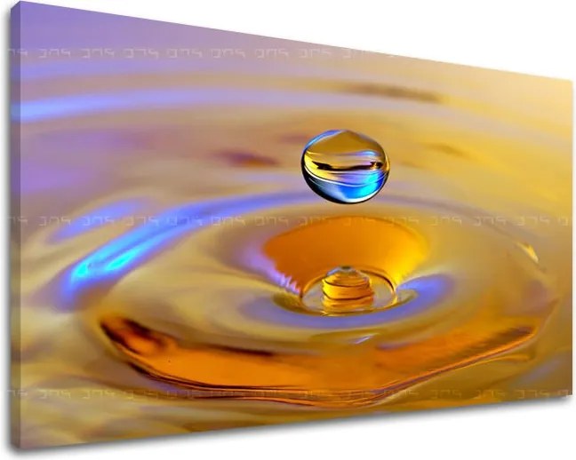 Obraz na stenu FENG SHUI