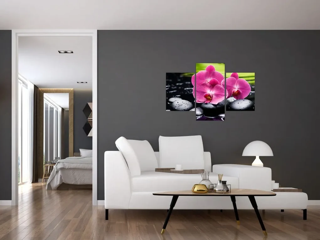 Obraz - Ružové orchidey s palmovým listom (90x60 cm)