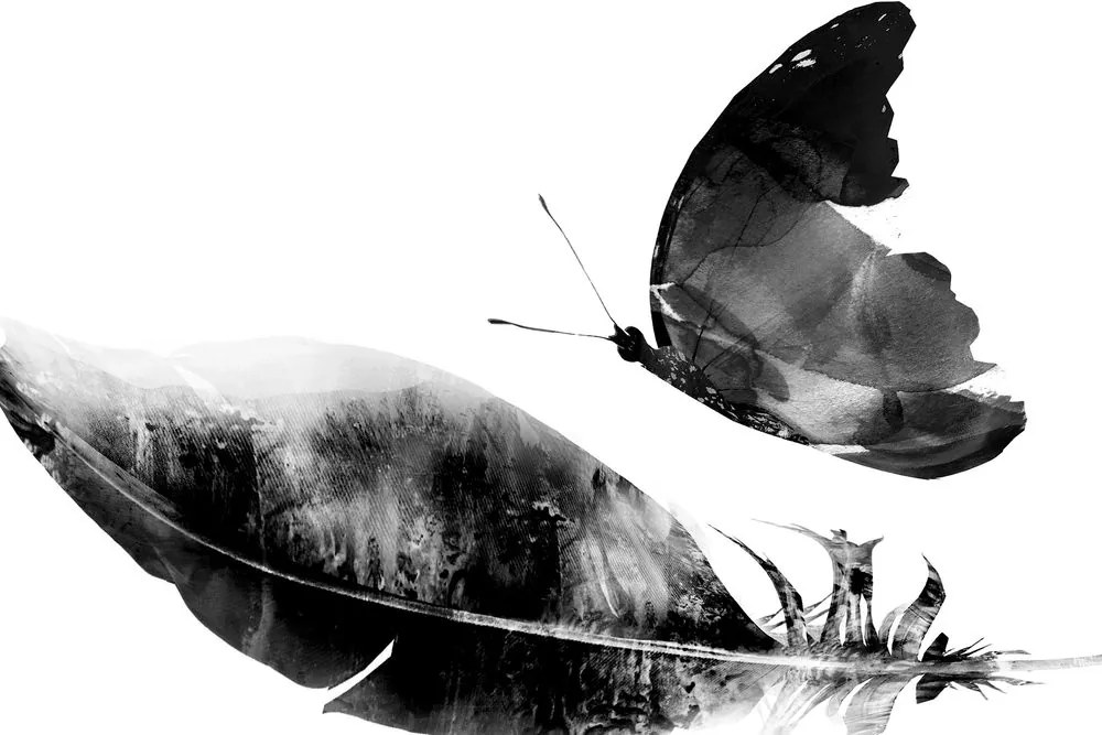 Obraz pierko s motýľom v čiernobielom prevedení Varianta: 120x80