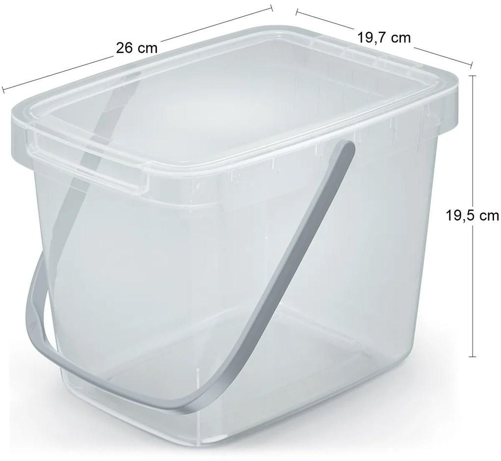 Plastový úložný box s rúčkou NHW6 6 l - priehľadná