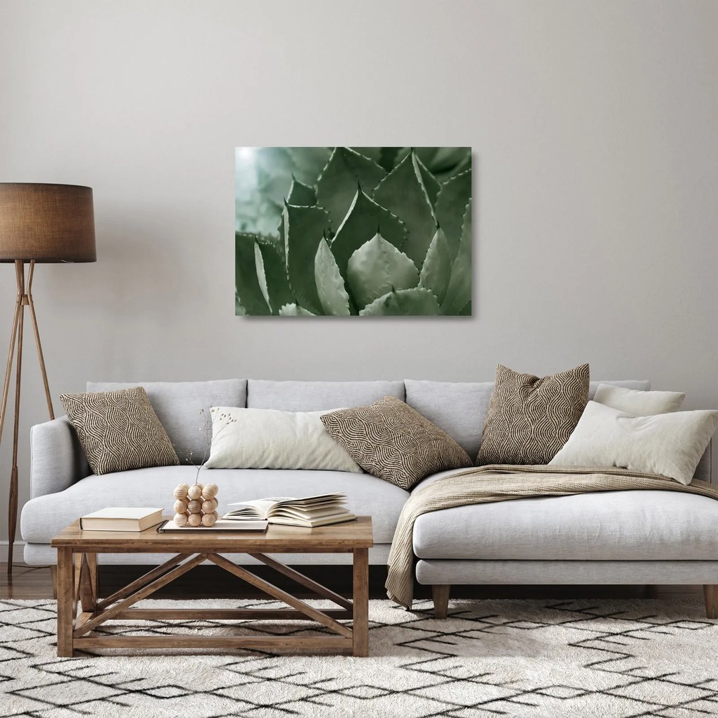 Sklenený obraz - Zelená agáve (70x50 cm)
