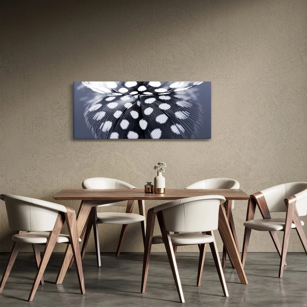 Obraz - Pierko (120x50 cm)