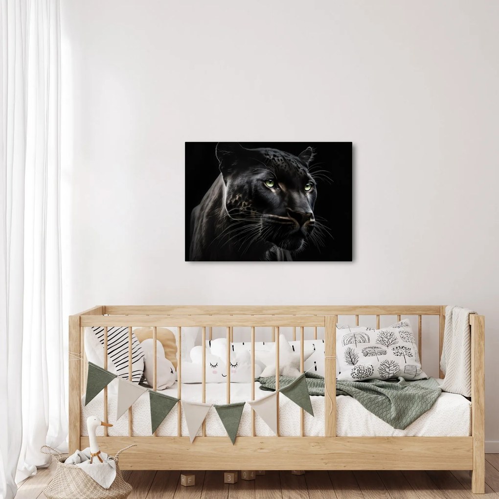 Obraz - Čierny panter (70x50 cm)