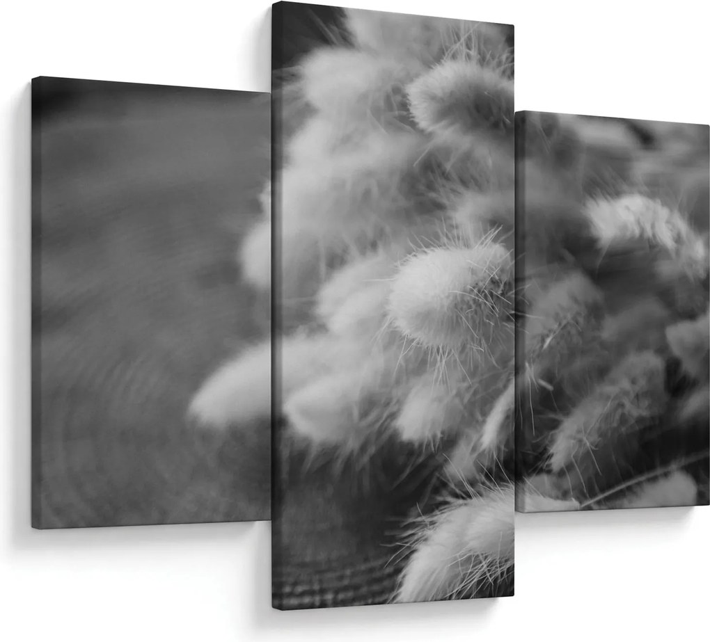 Obraz - bunny tail grass na stole (90x60 cm)
