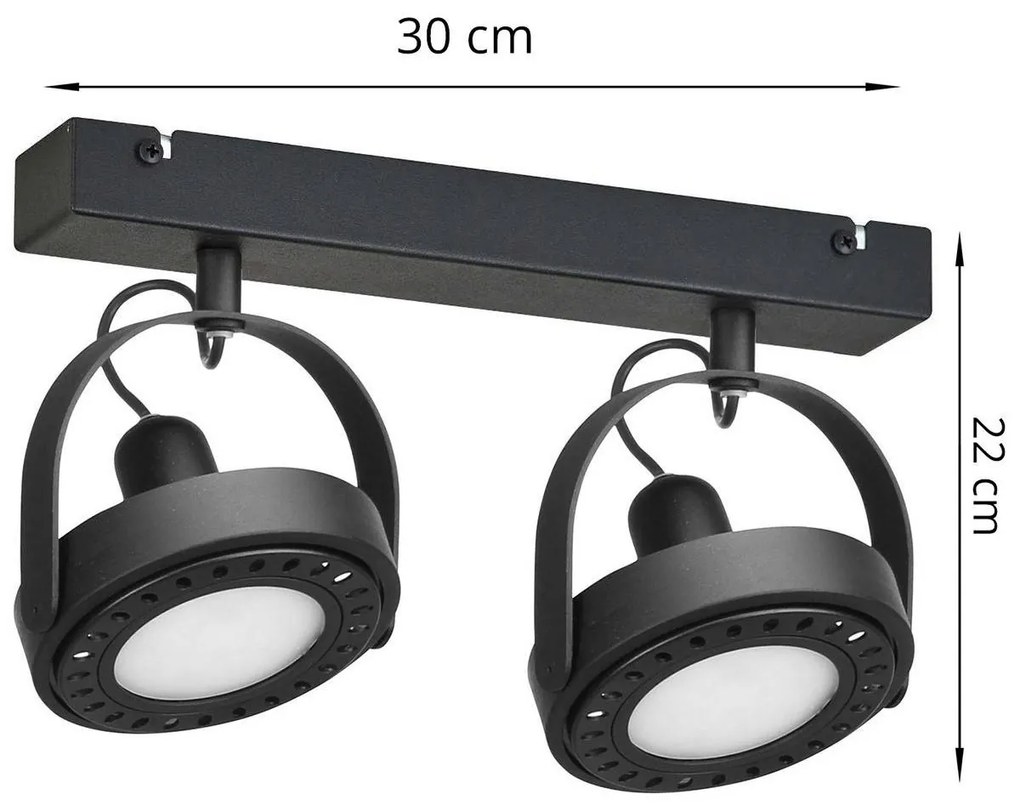 Stropné LED svietidlo CHEST, 2xLED max.9W, (výber z 2 farieb), (možnosť polohovania)
